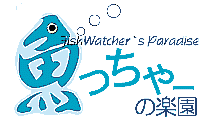 魚っちゃーの楽園